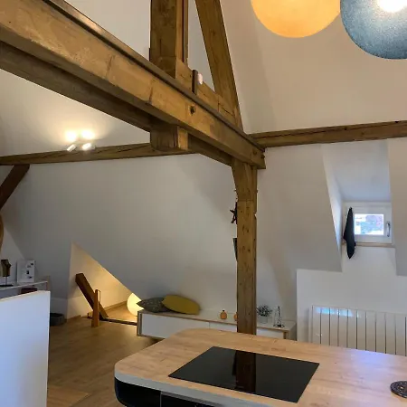 Le Loft * 科尔马