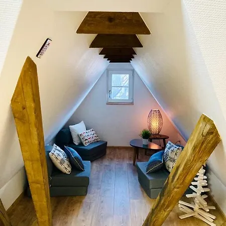 Le Loft * 科尔马