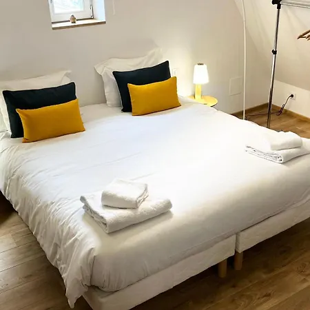 公寓 Le Loft 科尔马