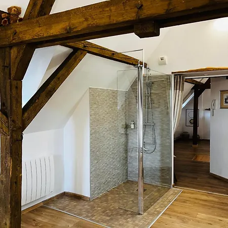 Le Loft * 科尔马