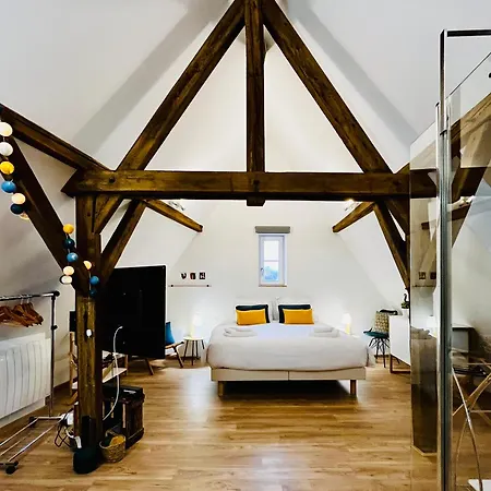 公寓 Le Loft *
